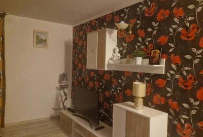 Vand doua cabane la Dubova Mehedinti complet utilate la cheie - 1