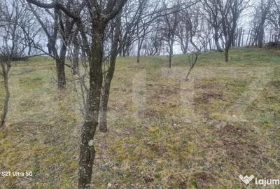 Teren în Schiulești - 15