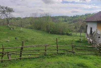 Casă cu Teren 1450 Mp în Izvoru (Valea Lungă) - 7
