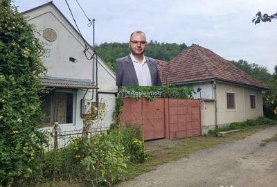 Casă cu 14 camere cu Teren 1439 Mp în Brădișoru de Jos - 18