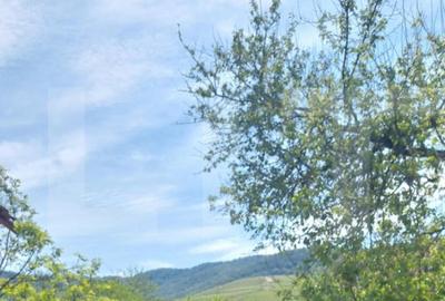 Blitz va ofera spre vanzare casa cu teren generos in Covas? - 3