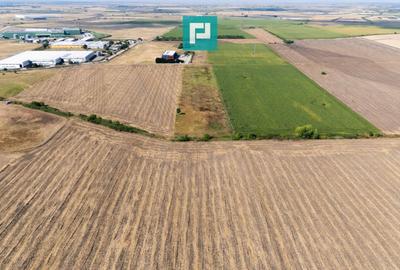 Teren agricol extravilan de 5500 mp, în Freidorf - 5