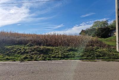 Spațiu comercial, în Central - 6