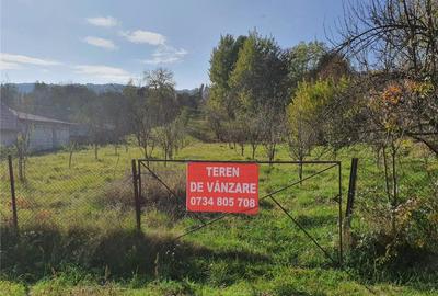 Teren de 2300 mp, în Dragodănești - 5