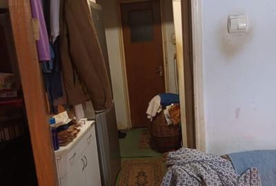 Obor, Colentina, Lacul Tei x  Teiul Doamnei, langa parcul Tei - 4