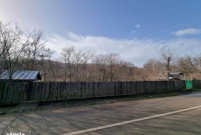 Casă cu 3 camere în Surani - 7