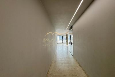 Resedinta de lux / * Kiseleff* - 27