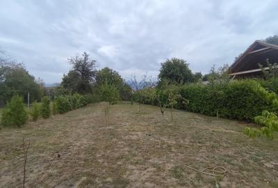 Casa individuala pe un singur nivel in Sibiu localitatea Cartisoara - 14