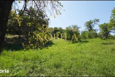 Teren de 10537 mp, în Bogdănești - 6