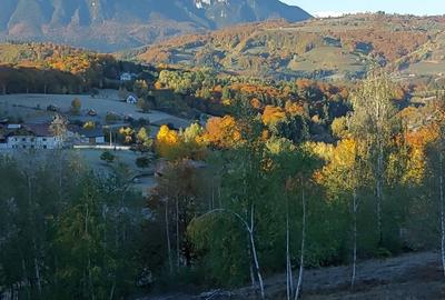 TEREN LA MUNTE - Puz aprobat/utilitati/imprejmuit - 3