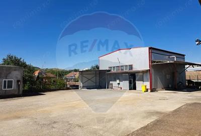 Spațiu comercial, de 2,500 mp, în Sângeorgiu de Pădure - 4