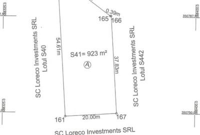 Dumbrava Vlasiei - teren 923 mp - latura comuna cu padurea - 2