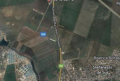 Teren Construcții intravilan de 16682 mp, în Ștefăneștii de Jos - 7