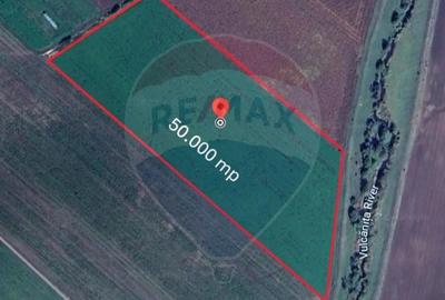 Teren de 80000 mp, în Hălchiu - 8