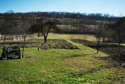 Casa zona de padure - 3