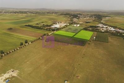 Hala industriala noua 528 mp | utilitati | zona Vest Sibiu - 12