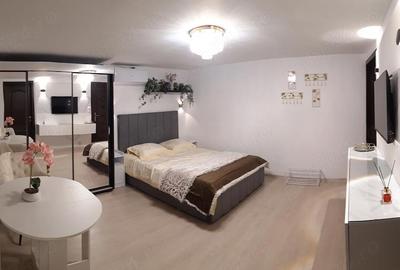 Apartament cu 2 camere nedecomandat în Știrbei Vodă - 10