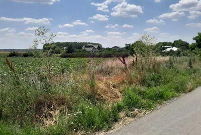 Teren de 16500 mp, în Teișori