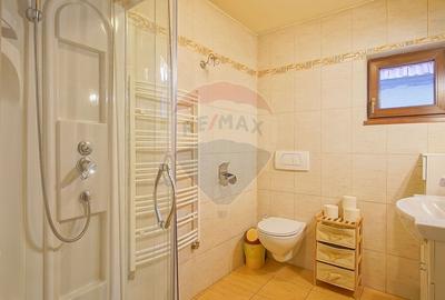 Casa  de inchiriat, Schei - 33