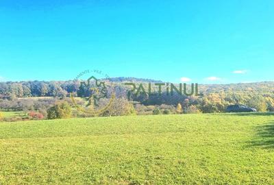 Teren in Rasinari, Sibiu 3010 mp cu priveliste superba - 7