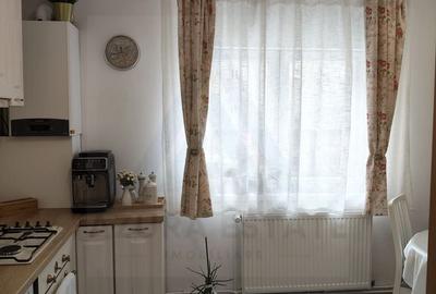 Apartament cu 2 camere decomandat, mobilat în Terezian - 11