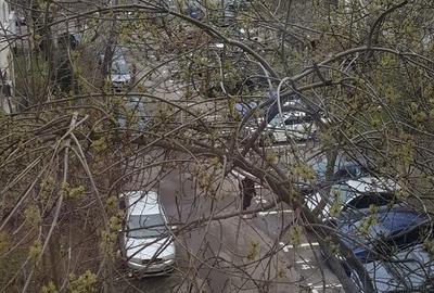 Apartament cu 3 camere decomandat, mobilat în Aviației - 1