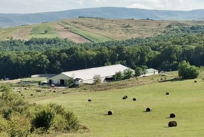 Ferma Zootehnica la standarde Europene - 11