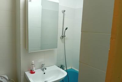 Apartament cu 3 camere decomandat, mobilat în Parcul Circului - 8