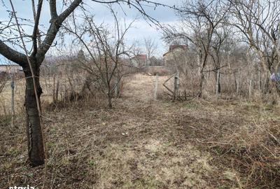 Casă cu 2 camere în Cornu - 10