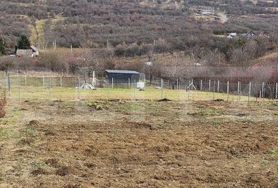 Teren de 1000 mp, în Central