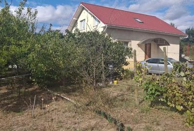 Casă cu 4 camere cu Teren 1300 Mp în Poarta Albă - 10