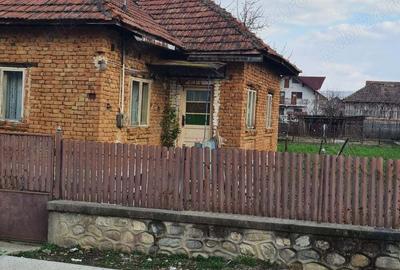 Casă în Jiblea Nouă - 2