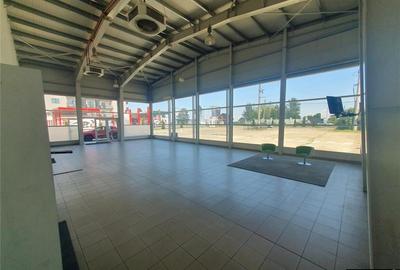 De inchiriat  Spatiu comercial versatil in Radauti (teren 5000 mp) - 11