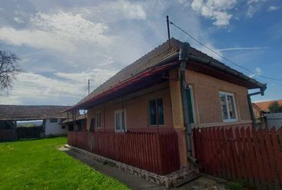 Casă cu 2 camere în Cinta - 3