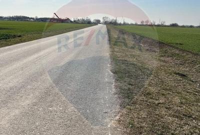Teren agricol extravilan de 12900 mp, în Moara Vlăsiei