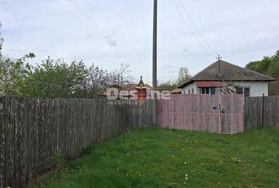 Casă cu 3 camere cu Teren 3000 Mp în Central - 2
