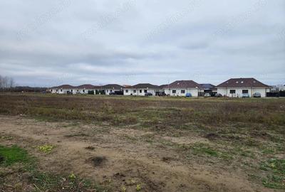 Teren de 530 mp, în Bucovăț (Remetea Mare)