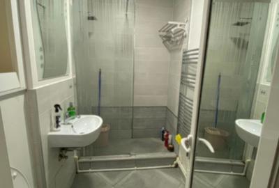 2 dec Siderurgistilor, etaj 1, renovat, mobilat si utilat - 4