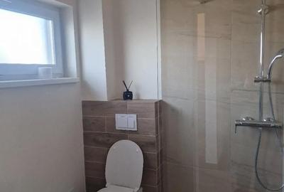Casă cu 2 camere cu Teren 350 Mp în Dumbrăvița - 4