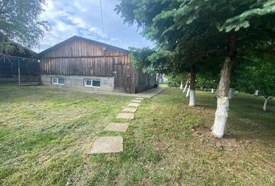 Spațiu comercial, în Hudum - 3