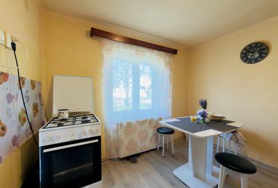 Casă individuală cu 2 camere cu Teren 933 Mp în Utvin - 10