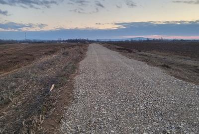 Teren de 500 mp, în Oșorhei - 3