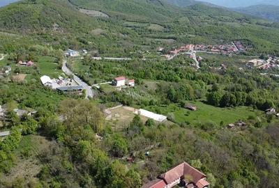 Teren intravilan 2.500 mp cu vie, pomi fructiferi și construcții – Orșova, DN57 - 5