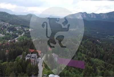 Teren in Predeal toate utilitatile, str. Nicolae Balcescu - 6