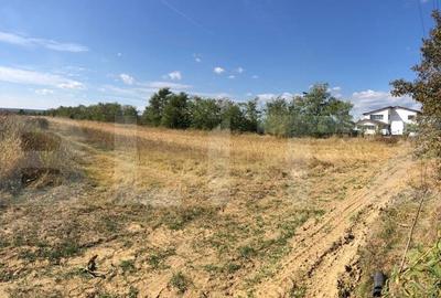 Teren 3222 mp, zona Dragomiresti - 4