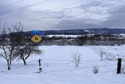 Teren agricol intravilan de 5421 mp, în Negrești (Dobreni) - 5