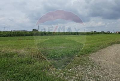 Teren de 1791 mp, în Vest - 2