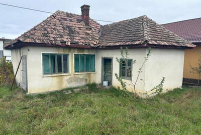 Teren 4000 mp,autorizatie de constructie Lechinta - 14