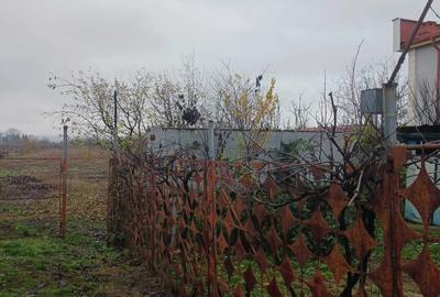 Casă cu 3 camere în Verguleasa - 3