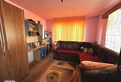 Casă cu 3 camere în Țelna - 11